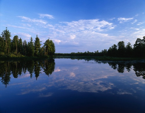 Batsto River, Pine Barrens, Burlington County, NJ (MF).jpg